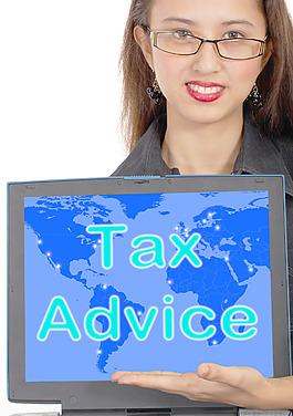 税务咨询税务计算机信息显示联机帮助